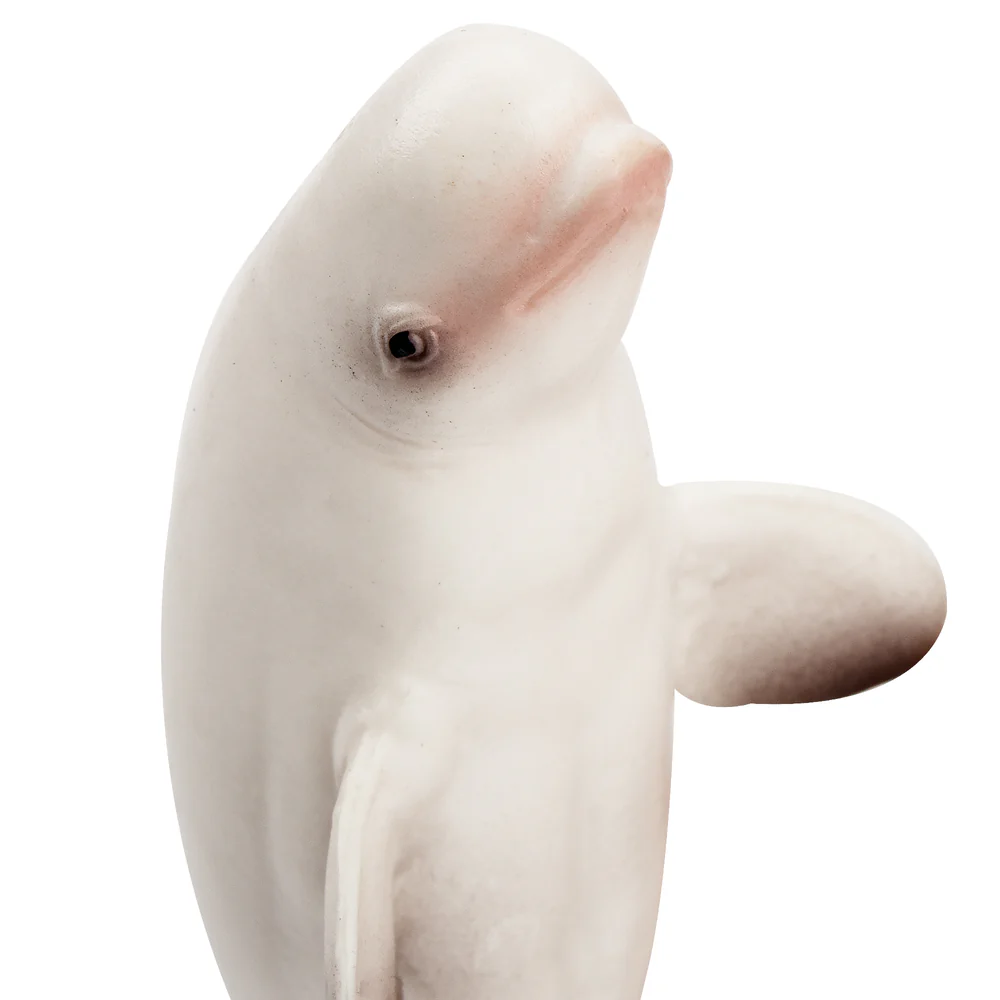 Toymany Simulation Beluga Whal - Kids Toys Under $5 recension och pris