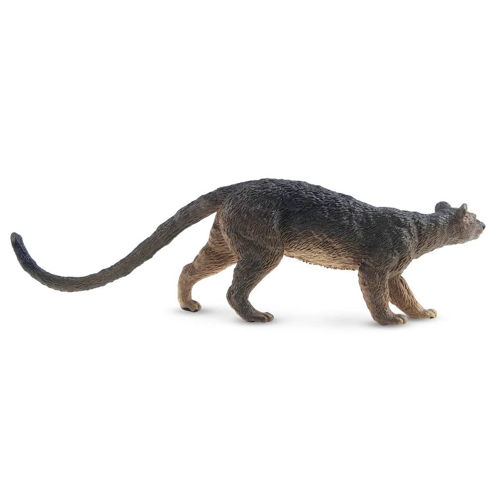 Toymany Simulation Fossa Madag - Kids Toys Under $5 recension och pris